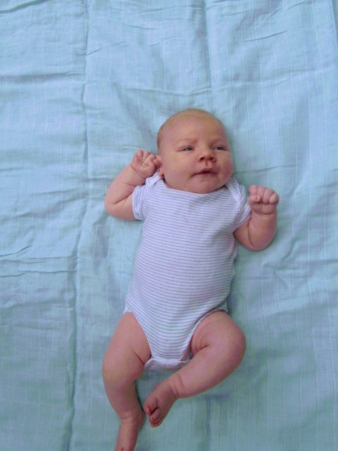 My Team Green&nbsp;Experience