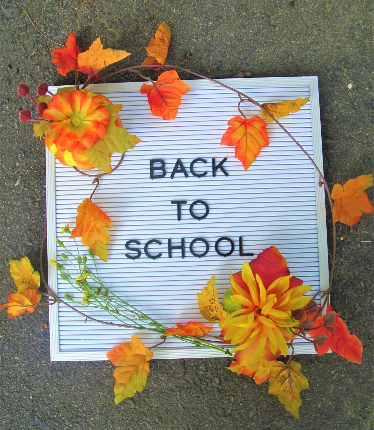 Free Back to School&nbsp;Devotional