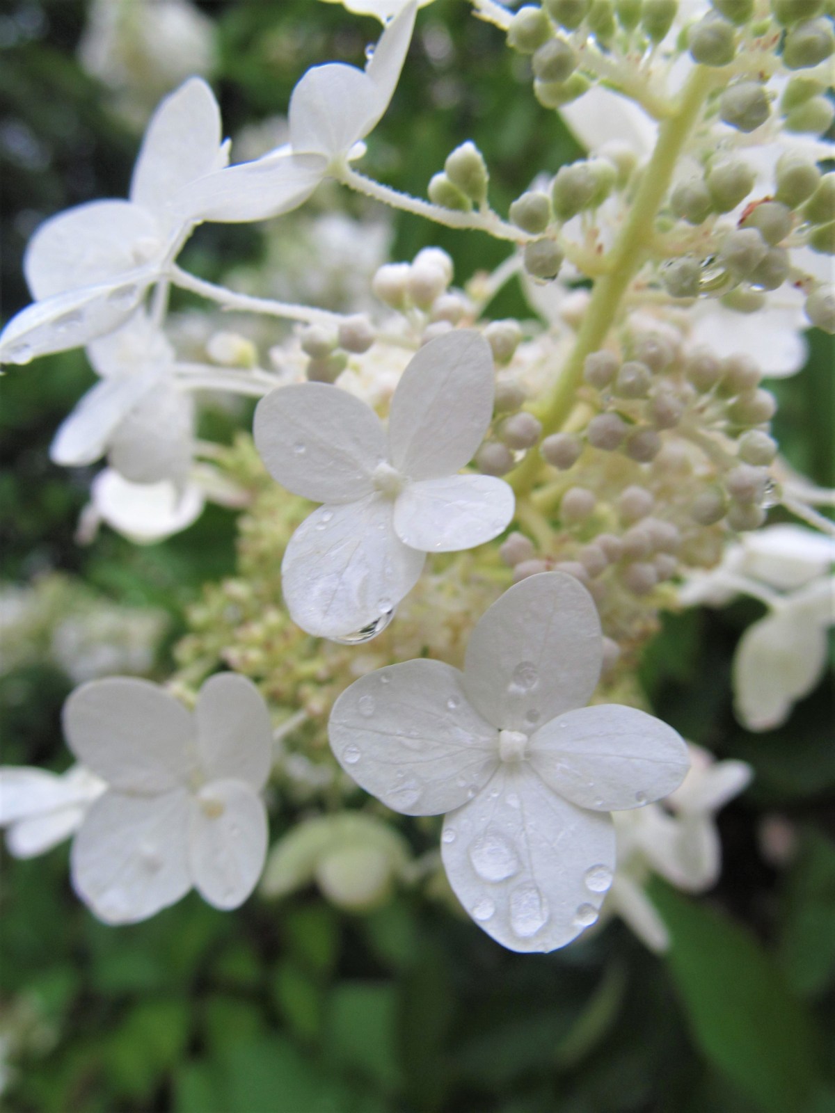 Finding Time With&nbsp;God