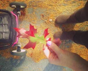 14714962_1308046059217337_6109650516619809741_o-2