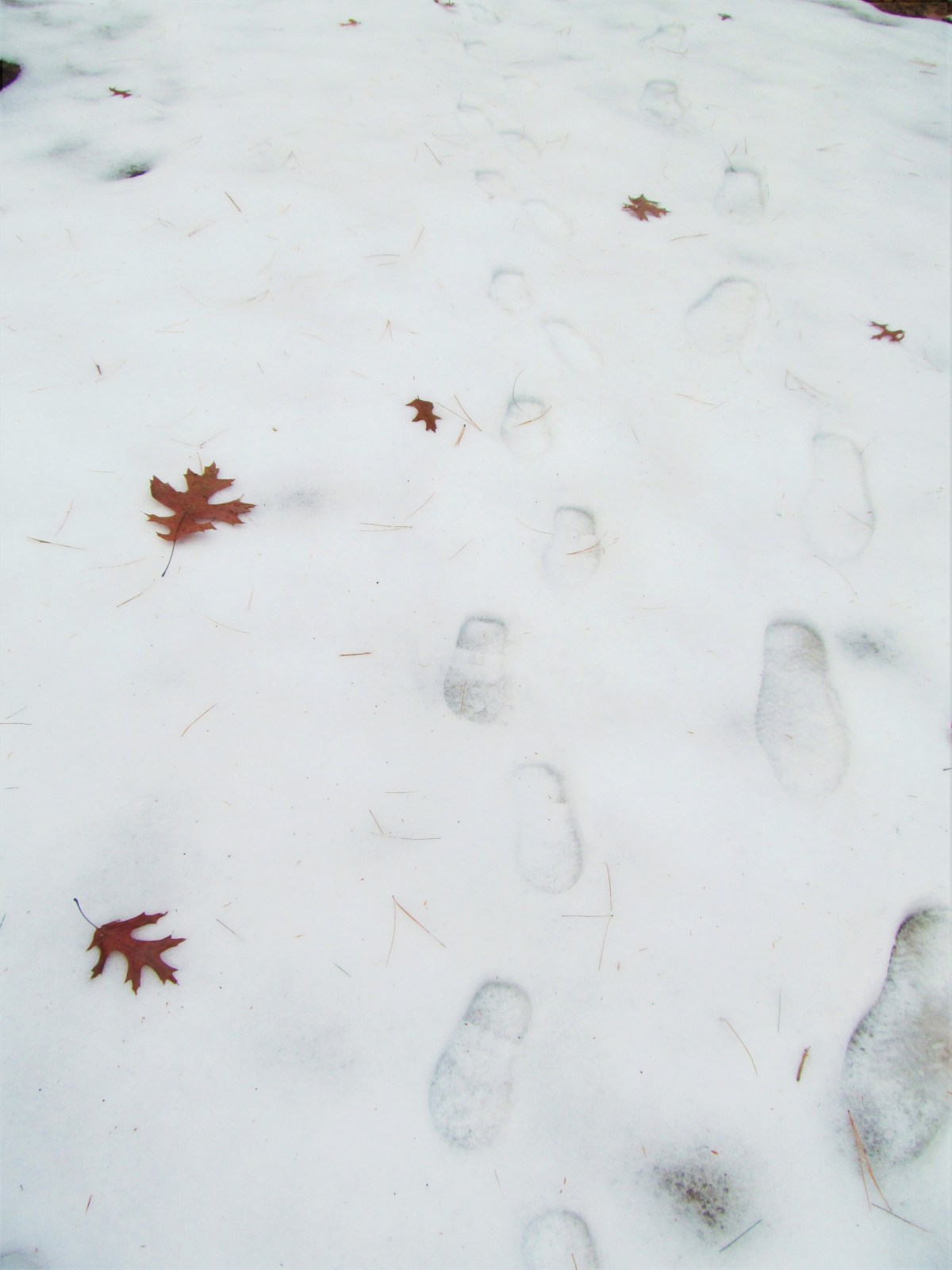 St. Joseph and the Blended&nbsp;Family