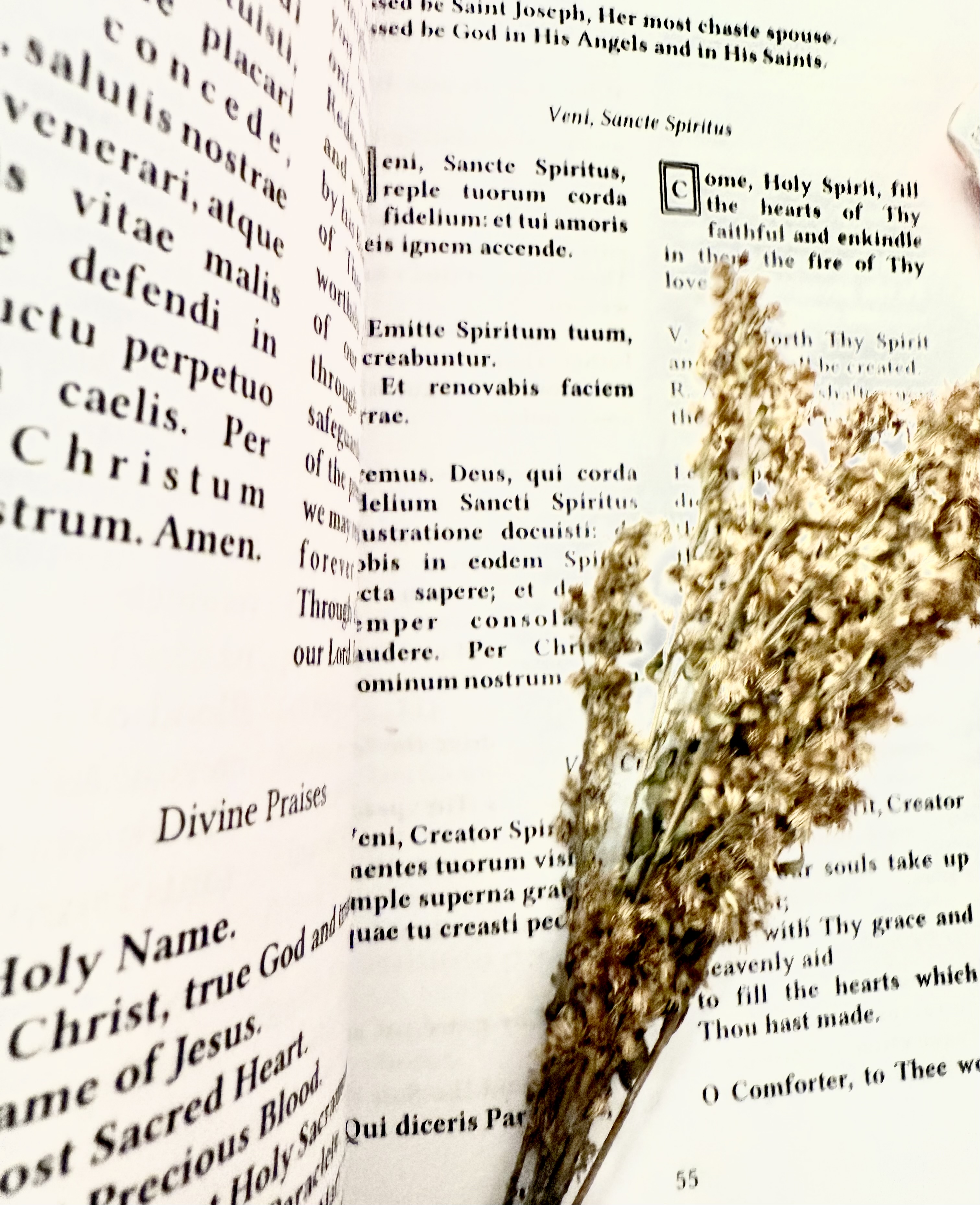 Prayers Over The Kitchen Sink – A Simple Life Made Sacred Through Faith ...